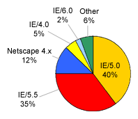 Browsers Used to Access Google: 40% IE/5.0 - 35% IE/5.5 - 12% Netscape 4.x - 5% IE/4.0 - 2% IE/6.0 - 6% Other